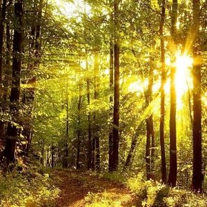 Meet your Posher, Desyree